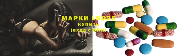ГАЛЛЮЦИНОГЕННЫЕ ГРИБЫ Новодвинск