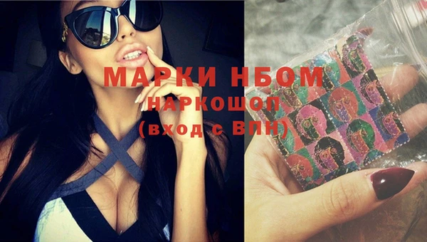 тгк Новозыбков