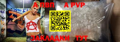 твердый Кингисепп