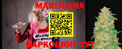 твердый Кингисепп