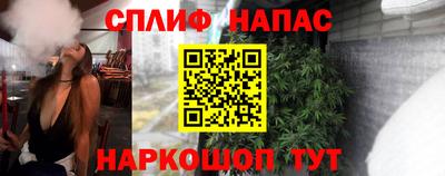 твердый Кингисепп