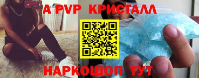 твердый Кингисепп