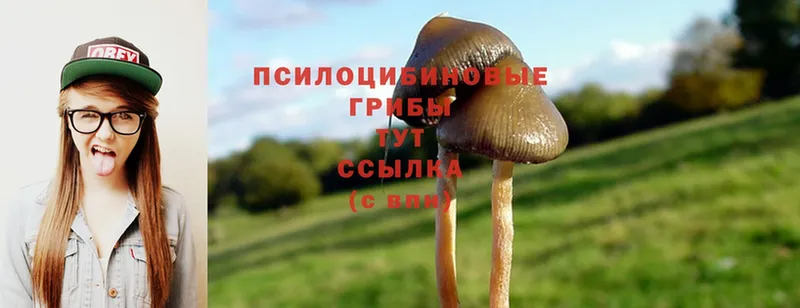 Псилоцибиновые грибы Magic Shrooms  Лабытнанги 