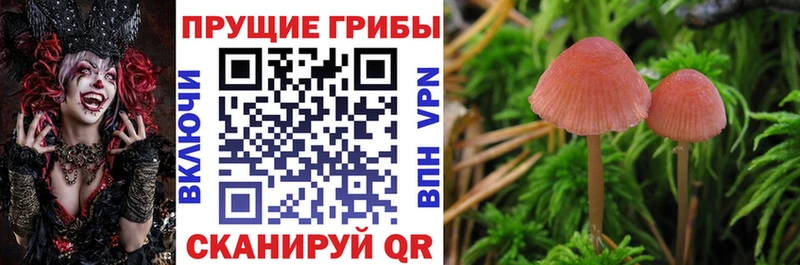 мега ONION  Лабытнанги  Галлюциногенные грибы MAGIC MUSHROOMS  купить  