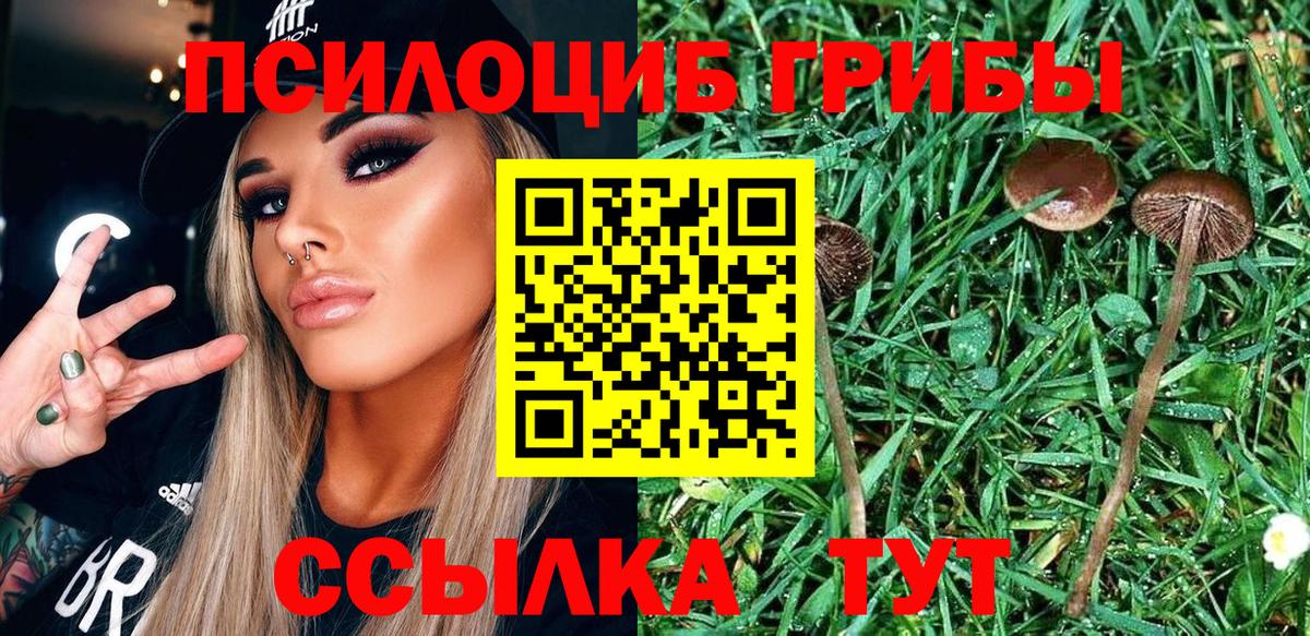 Галлюциногенные грибы GOLDEN TEACHER  купить закладку  Лабытнанги  Вход с VPN 